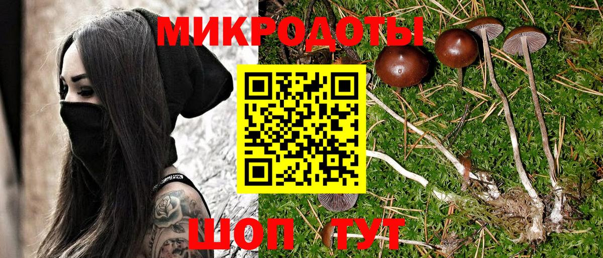 Галлюциногенные грибы GOLDEN TEACHER Владивосток