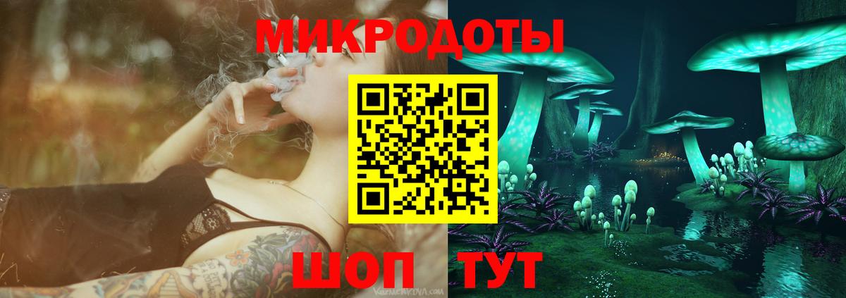 где продают наркотики  Вход с VPN  Владивосток  Псилоцибиновые грибы GOLDEN TEACHER 